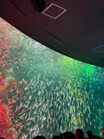 名古屋港水族館に投稿された画像（2026/7/9）