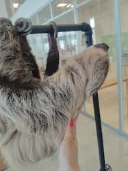 Moff animal world BIGHOPガーデンモール印西店に投稿された画像（2026/7/8）