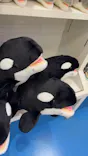 名古屋港水族館に投稿された画像（2026/7/9）