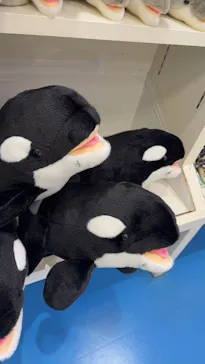 名古屋港水族館に投稿された画像（2026/7/9）