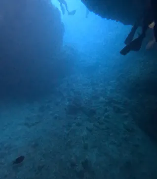 MalDive（モルダイブ）に投稿された画像（2026/7/9）
