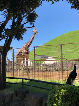 伊豆シャボテン動物公園に投稿された画像（2026/7/9）