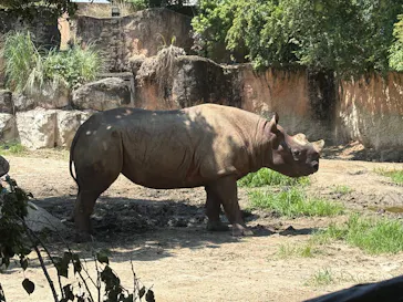 天王寺動物園に投稿された画像（2026/7/9）