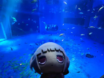 のとじま水族館に投稿された画像（2026/7/9）