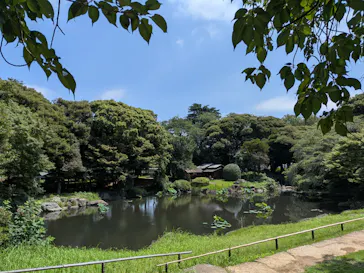 東京国立博物館に投稿された画像（2026/7/9）