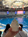 マクセル アクアパーク品川に投稿された画像（2026/7/9）