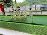 別府ケーブルラクテンチに投稿された画像（2026/7/9）