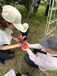 果実の里 原田農園に投稿された画像（2026/7/9）