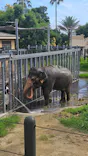 アドベンチャーワールドに投稿された画像（2026/7/9）