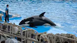 名古屋港水族館に投稿された画像（2026/7/9）