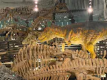 福井県立恐竜博物館に投稿された画像（2026/7/9）