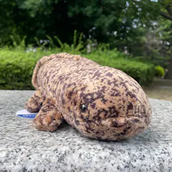 京都水族館に投稿された画像（2026/7/9）
