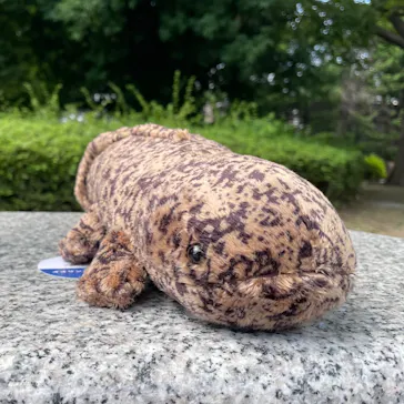 京都水族館に投稿された画像（2026/7/9）