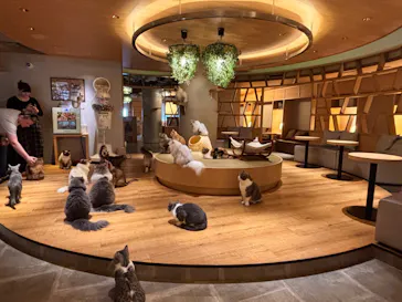 猫カフェモカ　新宿店に投稿された画像（2026/7/9）