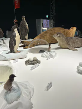 大南極展に投稿された画像（2026/7/9）