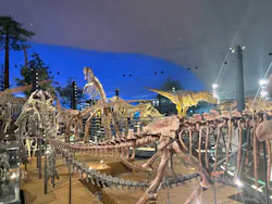 福井県立恐竜博物館に投稿された画像（2026/7/10）