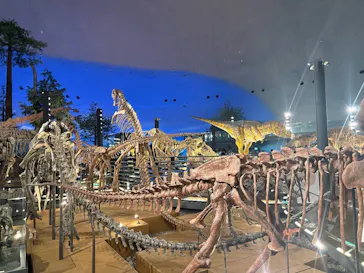 福井県立恐竜博物館に投稿された画像（2026/7/10）