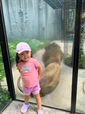 広島市安佐動物公園に投稿された画像（2026/7/10）