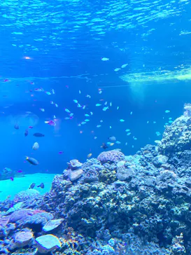 葛西臨海水族園に投稿された画像（2026/7/10）
