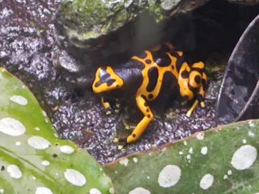 サンシャイン水族館に投稿された画像（2026/7/10）