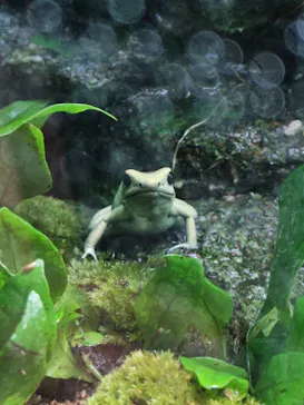 サンシャイン水族館に投稿された画像（2026/7/10）