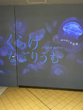 名古屋港水族館に投稿された画像（2026/7/10）