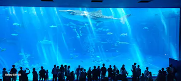 沖縄美ら海水族館に投稿された画像（2026/7/10）