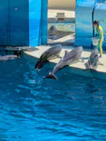 新江ノ島水族館に投稿された画像（2026/7/10）