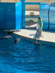 新江ノ島水族館に投稿された画像（2026/7/10）