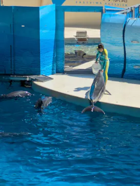 新江ノ島水族館に投稿された画像（2026/7/10）