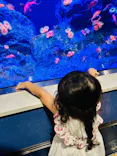 竹島水族館に投稿された画像（2026/7/10）