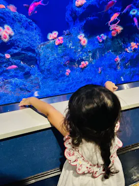 竹島水族館に投稿された画像（2026/7/10）
