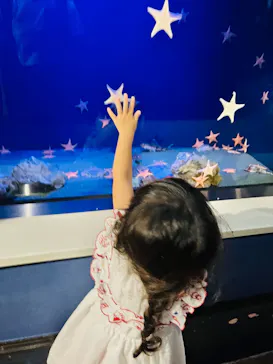 竹島水族館に投稿された画像（2026/7/10）
