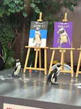 マクセル アクアパーク品川に投稿された画像（2026/7/10）