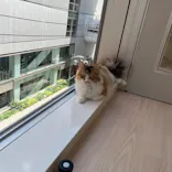 Cat Café MOFF 名古屋PARCO店に投稿された画像（2026/7/10）