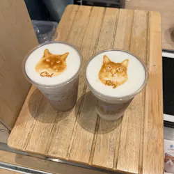 Cat Café MOFF 名古屋PARCO店に投稿された画像（2026/7/10）