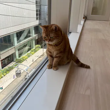 Cat Café MOFF 名古屋PARCO店に投稿された画像（2026/7/10）
