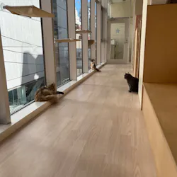 Cat Café MOFF 名古屋PARCO店に投稿された画像（2026/7/10）