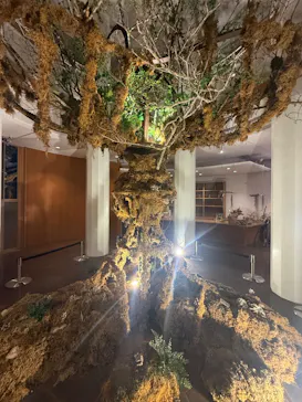 BOTANICA MUSEUMに投稿された画像（2026/7/10）