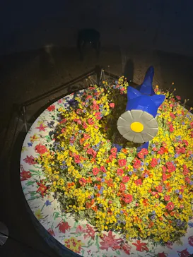 BOTANICA MUSEUMに投稿された画像（2026/7/10）