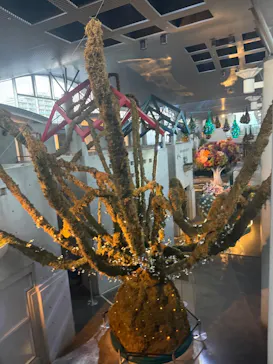BOTANICA MUSEUMに投稿された画像（2026/7/10）