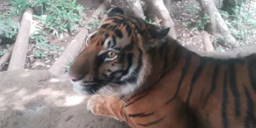 恩賜上野動物園に投稿された画像（2026/7/10）