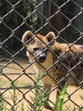 千葉市動物公園に投稿された画像（2026/7/10）