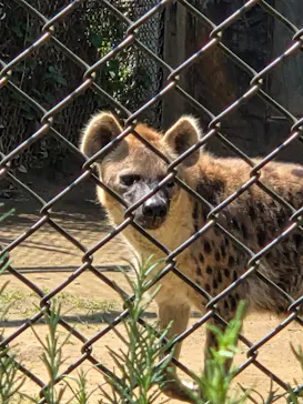 千葉市動物公園に投稿された画像（2026/7/10）