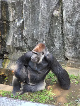 千葉市動物公園に投稿された画像（2026/7/10）