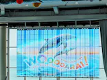 アクアワールド茨城県大洗水族館に投稿された画像（2026/7/11）