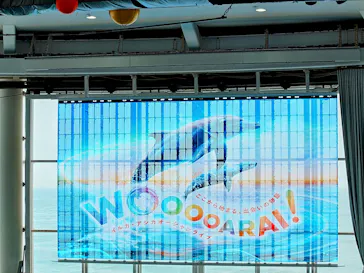 アクアワールド茨城県大洗水族館に投稿された画像（2026/7/11）