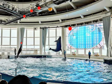 アクアワールド茨城県大洗水族館に投稿された画像（2026/7/11）