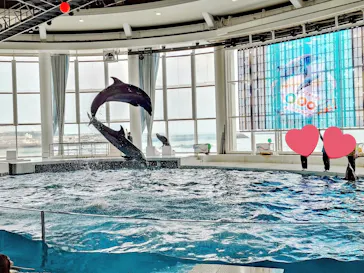 アクアワールド茨城県大洗水族館に投稿された画像（2026/7/11）