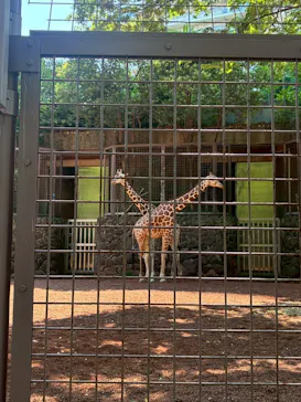 恩賜上野動物園に投稿された画像（2026/7/11）